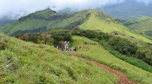 Beginners Guide For Tadiandamol Trek