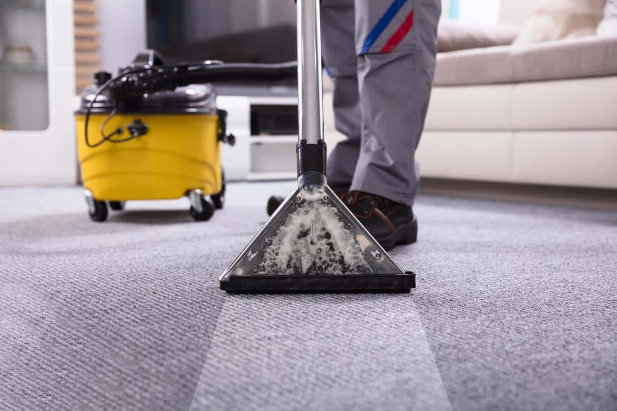 Carpet Cleaners 5 Reasons Why We Need The Professionals